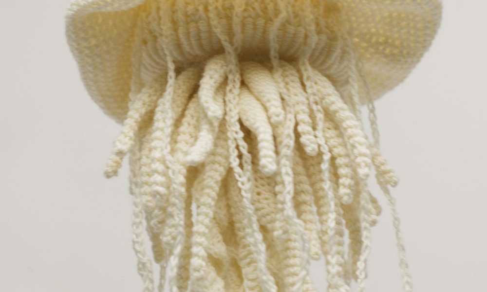 jellyfish クラゲ